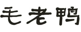 毛老鸭