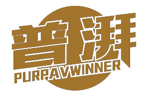 普湃 PURPAVWINNER
