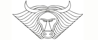 图形      （牛头）