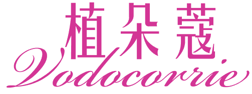 植朵蔻 VODOCORRIE