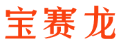 宝赛龙
