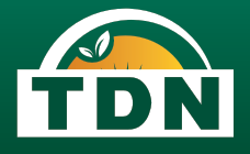TDN
