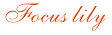FOCUSLILY（焦点百合）