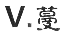 V蔓