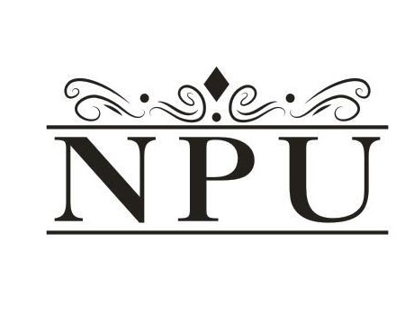 NPU