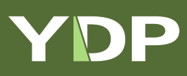 YDP