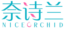 奈诗兰NICEORCHID