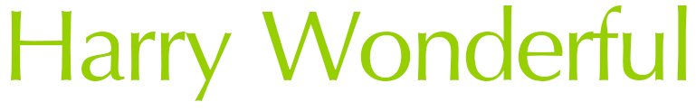 HARRY WONDERFUL