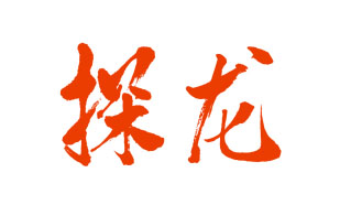 探龙