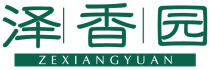 泽香园