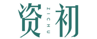资初