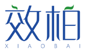 效柏XIAOBAI