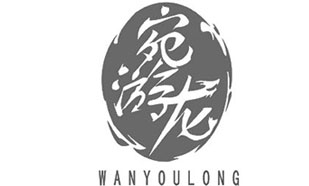 宛游龙WANYOULONG