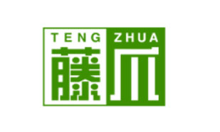 藤爪TENGZHUA
