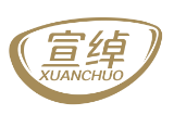 宣绰XUANCHUO