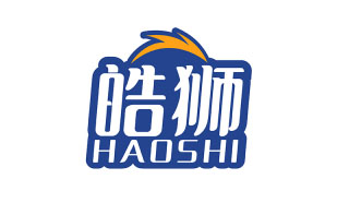 皓狮HAOSHI
