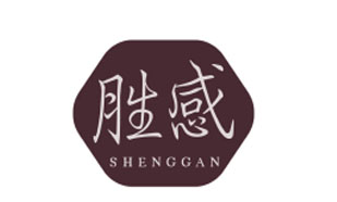 胜感SHENGGAN