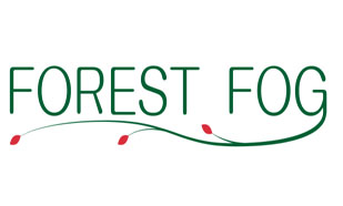 Forest Fog