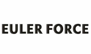 Eulerforce（欧拉力）
