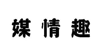 媒情趣