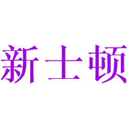 新士顿