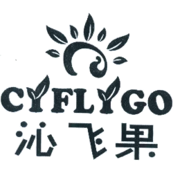 沁飞果 CYFLYGO