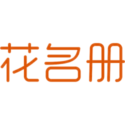 花名册