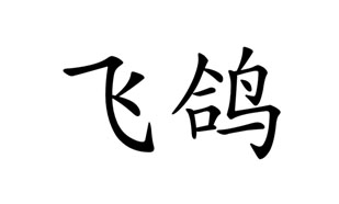 飞鸽