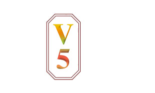 V 5